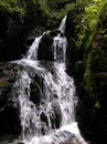 Cascade naturelle et sauvage Royalty Free Stock Photo