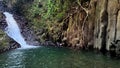 cascade paradis, jungle waterfall in vieux habitants with basalt columns, guadeloupe