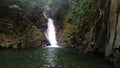 cascade paradis, waterfall in caribbean jungle in vieux habitants with basalt columns, guadeloupe Royalty Free Stock Photo