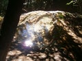 Cascade ponds in Parco Aymerich in Laconi, Sardinia,Italy. Royalty Free Stock Photo