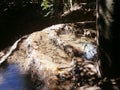 Cascade ponds in Parco Aymerich in Laconi, Sardinia,Italy. Royalty Free Stock Photo