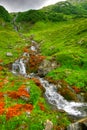 Cascade after the rain Royalty Free Stock Photo