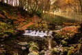 Cascade on river and footpath with sunbeams shining through branches in golden coloured autumn trees Royalty Free Stock Photo