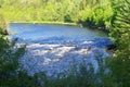 Cascade river forest nature landscape water motion stream environment Royalty Free Stock Photo