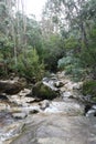 Cascade River Tasmania near the Mount Paris Dam Wall