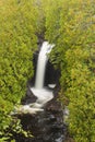 Cascade River Waterfall Royalty Free Stock Photo