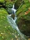 Cascade on small mountain stream, water is running over mossy sandstone boulders and bubbles create on level milky water. Royalty Free Stock Photo