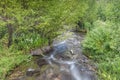 Cascade Springs National Park flowing water Royalty Free Stock Photo