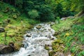 Cascade stream flowing in deep forest during summer