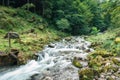 Cascade stream flowing in deep forest during summer