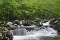 Cascade in Tremont at Great Smoky Mountains National Park TN USA Royalty Free Stock Photo