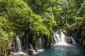 Cascade under primeval forest Royalty Free Stock Photo