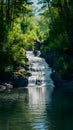 Cascade of water glistens in the sunlight amid verdant woodland