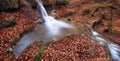 Cascade waterfall in autumn forest