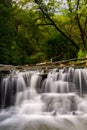 Cascade in Waterfall Glen