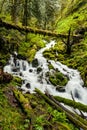 Cascade waterfalls in Oregon forest hike trail