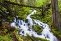 Cascade waterfalls in Oregon forest hike trail
