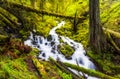 Cascade waterfalls in Oregon forest hike trail