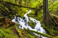 Cascade waterfalls in Oregon forest hike trail Royalty Free Stock Photo