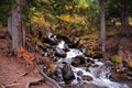 A cascade of waterfalls of a small mountain river flowing down in a stormy stream through the autumn forest Royalty Free Stock Photo