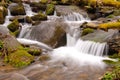 Cascade in the Wilds Royalty Free Stock Photo
