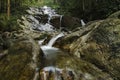 Cascaded river flowing through tropical rain forest