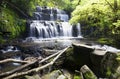 Cascaded waterfall surrounded by green forest.