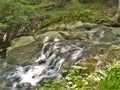 Cascades along Glen Burney Trail