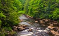 Cascades in the Blackwater River from a bridge at Blackwater Falls State Park, West Virginia.