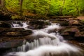 Cascades and bright spring greens on Glen Leigh, in Ricketts Glen State Park