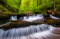 Cascades and bright spring greens in Ricketts Glen State Park