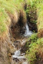 Cascades of cold clear mountain stream in a crevice in alpine meadow. Outdoor. Travel to Switzerland. Selective focus Royalty Free Stock Photo