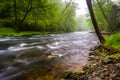 Cascades on the Gunpowder River near Prettyboy Reservoir in Baltimore County, Maryland. Royalty Free Stock Photo