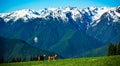 Cascades of Hurrican Ridge