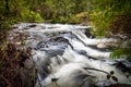 Cascades, the Lefroy Brook transforms from a gentle flow in mid summer to a raging torrent in winter