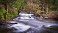 Cascades, the Lefroy Brook transforms from a gentle flow in mid summer to a raging torrent in winter