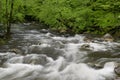 Cascades in the Middle prong of the Little Pigeon River in Great Smoky Mountains Royalty Free Stock Photo