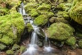 Cascades through moss covered rocks. Royalty Free Stock Photo