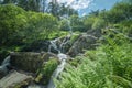 Cascades of Mountain Creek at Bright Summer Day