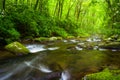 Cascades at the Oconaluftee River Royalty Free Stock Photo