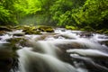 Cascades at the Oconaluftee River Royalty Free Stock Photo