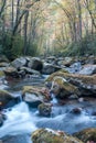 Cascades over the boulders in Big Creek in the Smoky Mountains.