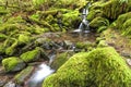 Cascades and small pools in a stream. Royalty Free Stock Photo