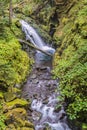 Cascades, Sol Duc River, Olympic National Park, WA Royalty Free Stock Photo