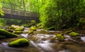 Cascades and walking bridge over the Oconaluftee River Royalty Free Stock Photo