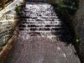 Cascading Beauty: Tranquil Water Flow on Steps of Nature