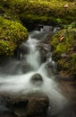 Cascading Canadian Wilderness Stream