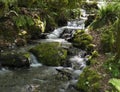 Cascading creek in Bridal Veil Falls Provincial Park