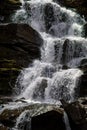 Cascading down a small mountain stream, the water runs over basalt boulders. A small waterfall runs through the moss. Royalty Free Stock Photo