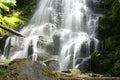 Cascading Fairy Falls